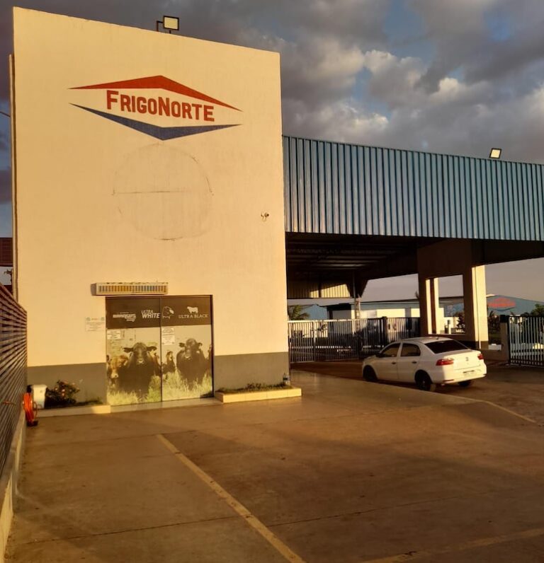 Fiscal asegura que no hubo fuga de amoníaco en frigorífico.