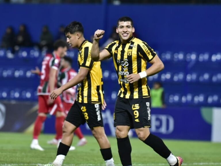 Fernando Fernández declara sobre Iván Ramírez: «Quiero que él me suceda» – Guaraní