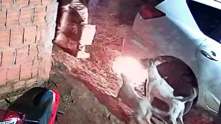 Prenden fuego a vehículo en medio de problemas entre vecinos en Pedro Juan Caballero