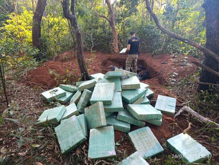 SENAD confiscó cerca de dos toneladas de marihuana en Cerro Corá.