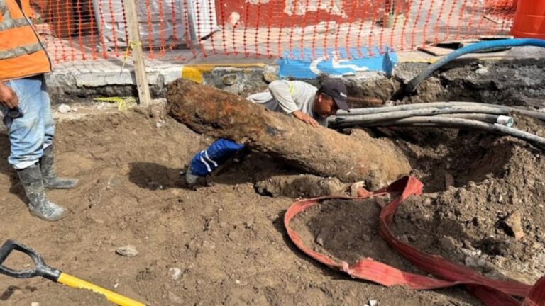 Cañones, huesos de animales y restos de cerámica: la remodelación del centro histórico de Veracruz Vestigios no publicados del puerto