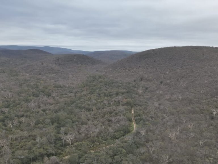 Mades cierra el Parque Nacional Defensores del Chaco.
