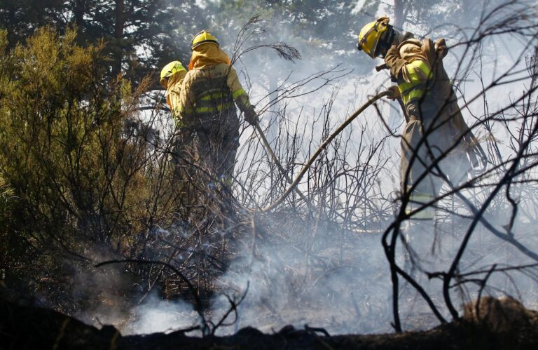 Figura interior en 16 incendios forestales activos con un alto nivel de riesgo, con las llamas no controladas entre Zamora y Ourense