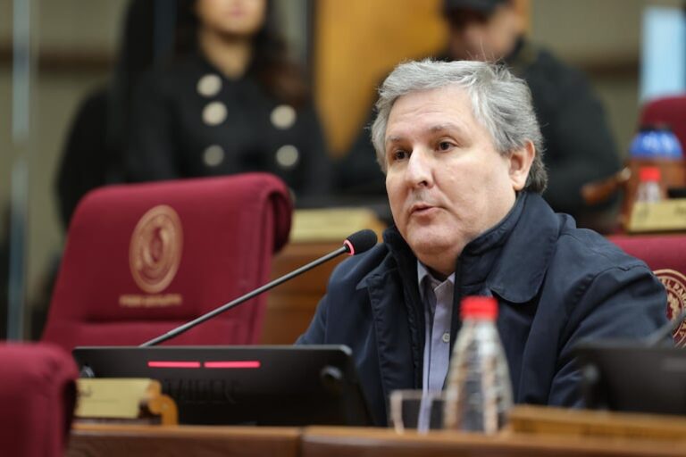 Filizzola: Colorados temen a elecciones y evitan destitución