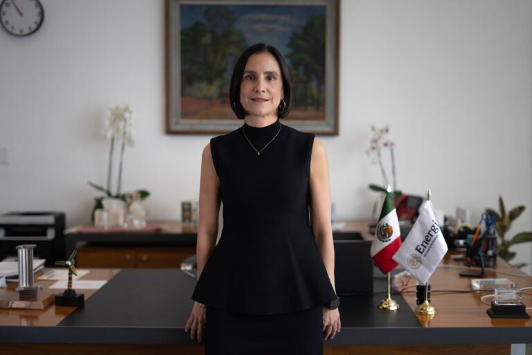 Luz Elena González: «No estamos en contra de la inversión privada, es una fuente importante del desarrollo de México»