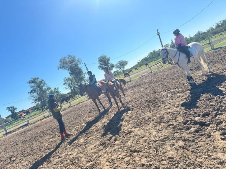 Hipismo: Tercer día de entrenamiento - Polideportivo