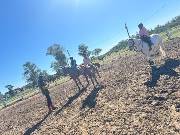 Hipismo: Tercer día de entrenamiento – Polideportivo