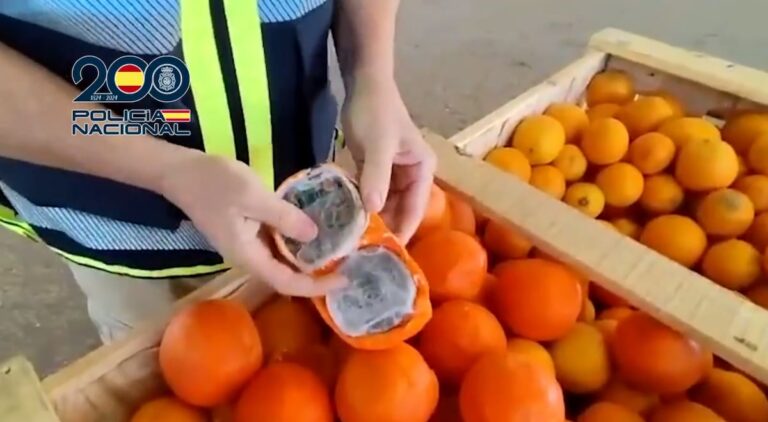 Operación ‘Zidanne’: encuentran 1.600 kilos de hachís disfrazados como naranjas