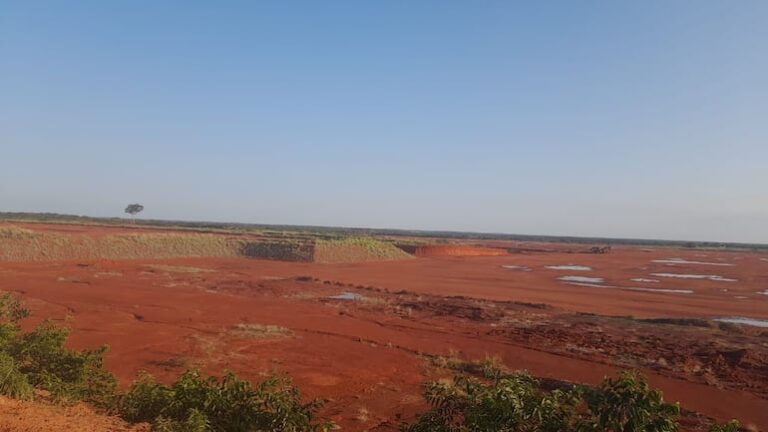 Razones por las cuales la planta de celulosa Paracel permanece paralizada.