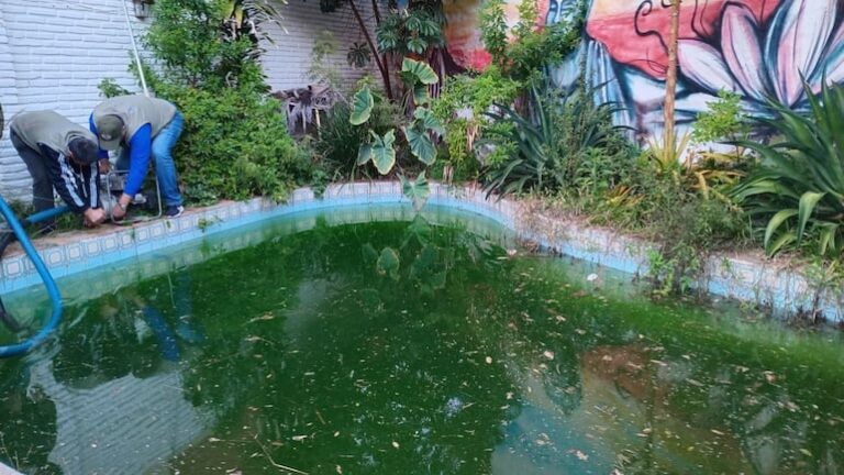 Vivienda abandonada en Mariscal López se convierte en criadero de mosquitos.