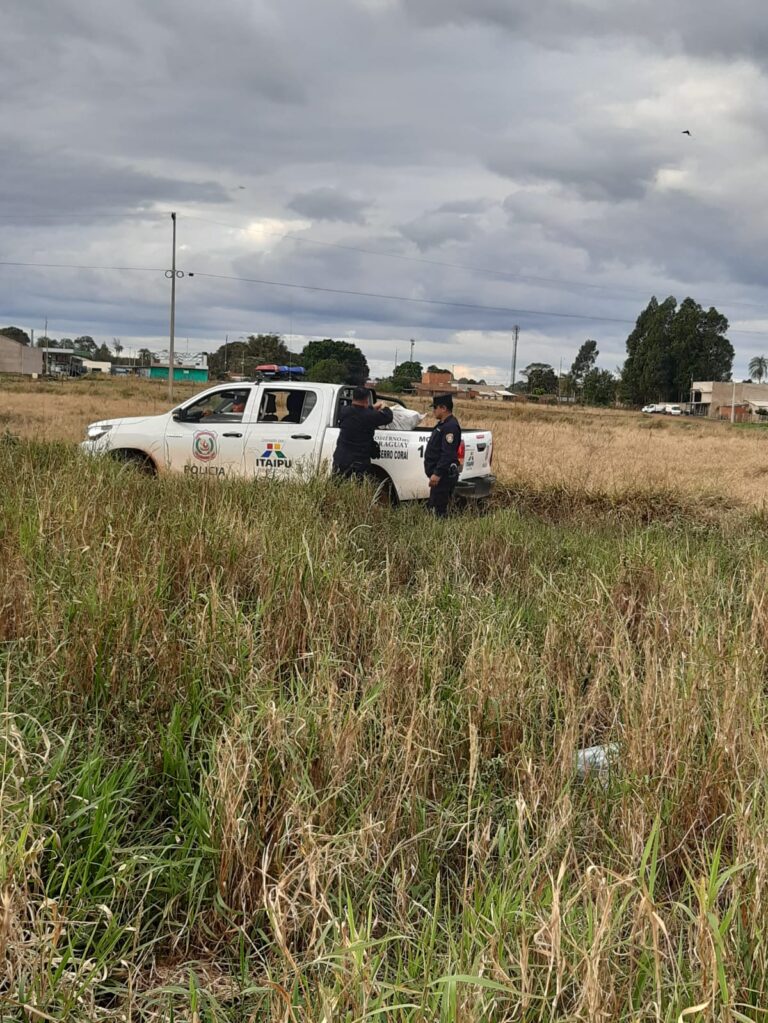 Hallan más de 55 kilos de supuesta marihuana en patio baldío