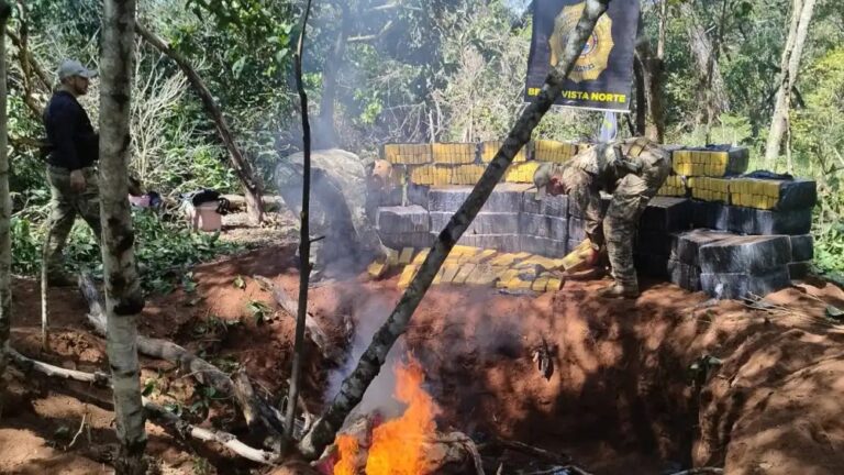 SENAD quema 7,000 kilos de marihuana en Bella Vista Norte.