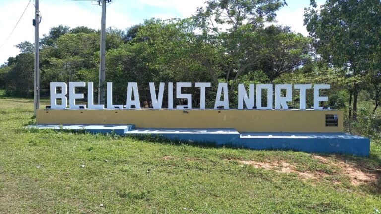 Incendio intencional en retiro de Bella Vista Norte, reportan autoridades.