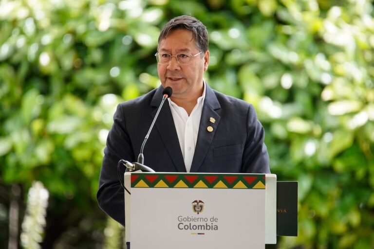 Denunció al presidente de Bolivia por «abandono de la mujer embarazada»