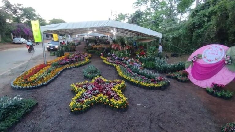 Expoferia «Yvoty Rape» ofrece atracciones y finaliza mañana.
