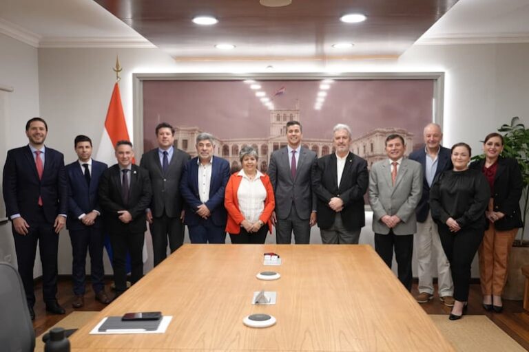 Gobierno regula ley de mipymes y presenta programa Jepytaso.