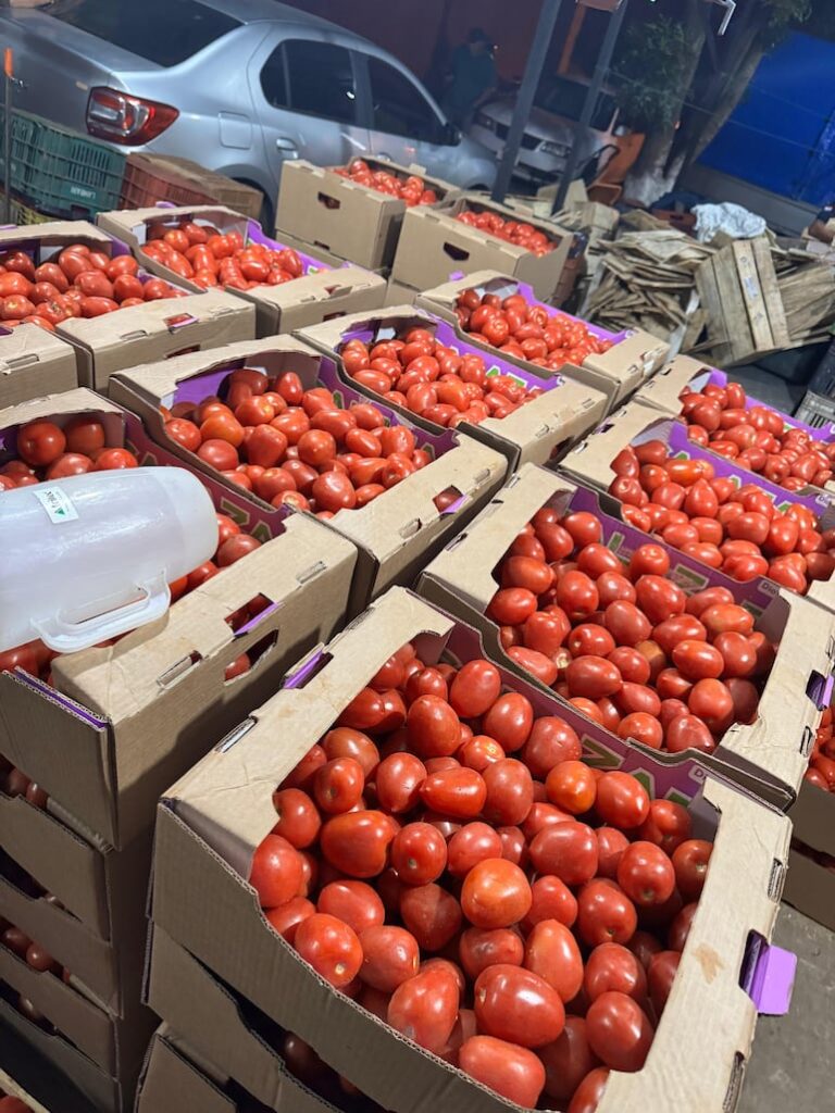 Interceptan 640 cajas de tomates ilegales en Ñemby.