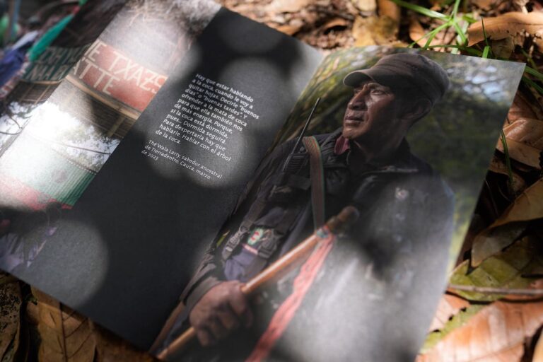 ‘Mama Coca’: el libro se libró en hojas de coca que se refleja en la planta