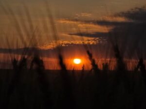 Temperaturas superiores a 30 grados se prevén en Paraguay esta semana