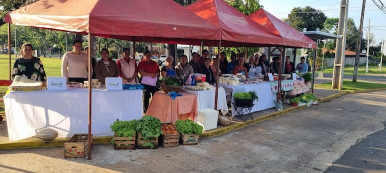 San Miguel: Familias mejoran ingresos en feria agrícola.