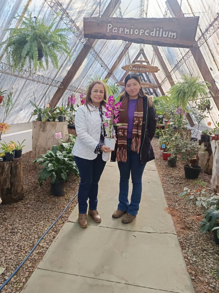 Visita viveros de floricultores para embellecer tu hogar.