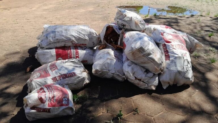 Confiscan contrabando de mandioca en la frontera de Pedro Juan Caballero.