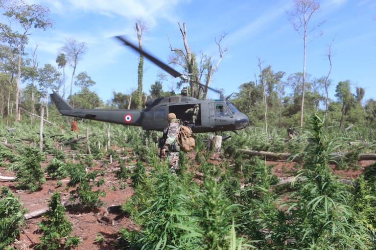 Caazapá se destaca como el principal productor de drogas.