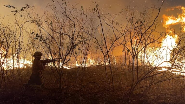 Chovoreca: JEM investiga a jueces por impunidad en incendios.