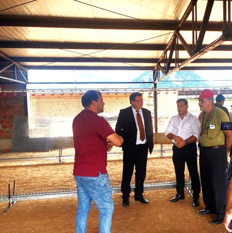 Fiscalía de Paraguarí actúa en construcción de granja avícola urbana.