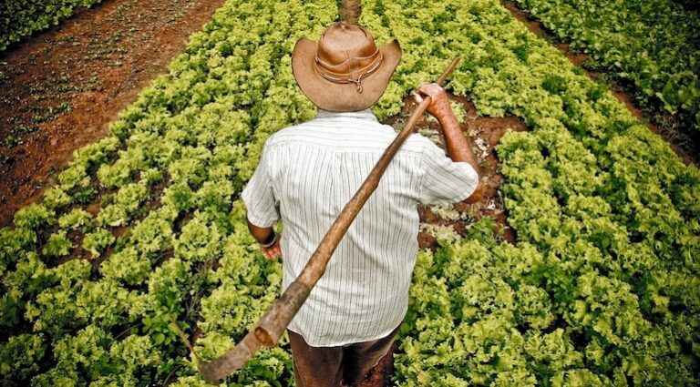 Información climática para optimizar cultivos en ABC Rural.
