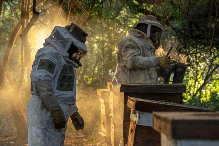 Miel para resistir la deforestación en el chaco impenetrable