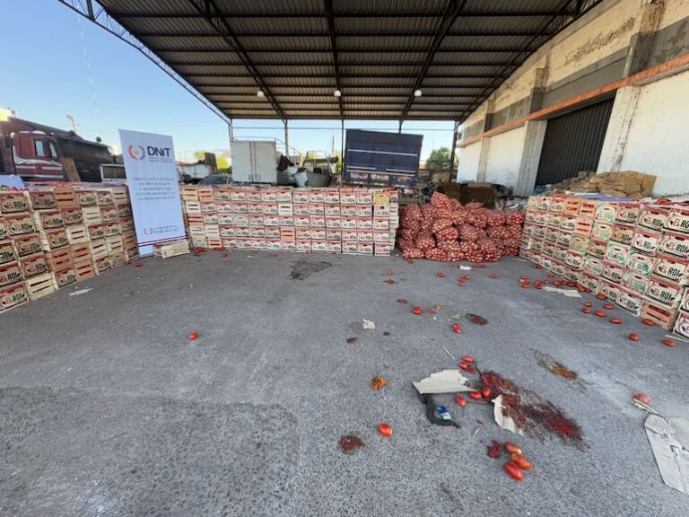 Operativo Jejoko Mbarete: 500 militares luchan contra contrabando.