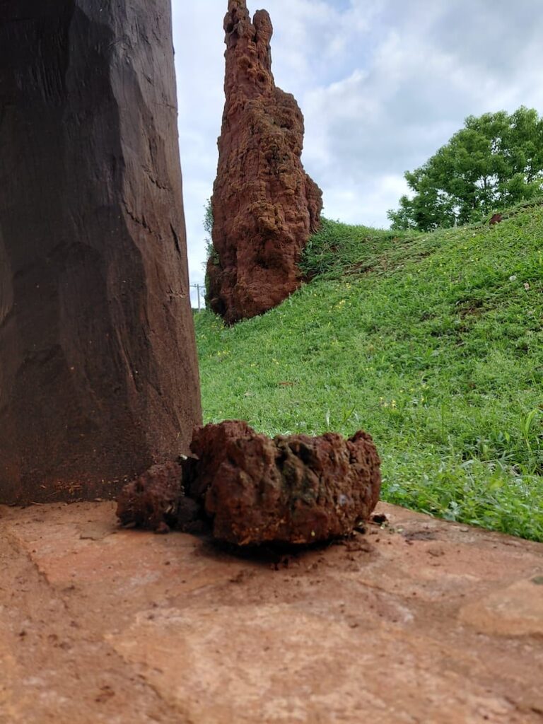 Ruinas jesuíticas de Santiago Apóstol se hunden por abandono.