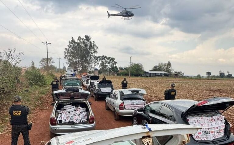 DOF localiza depósito de contrabandistas y decomisa 17 vehículos cargados con material ilegal