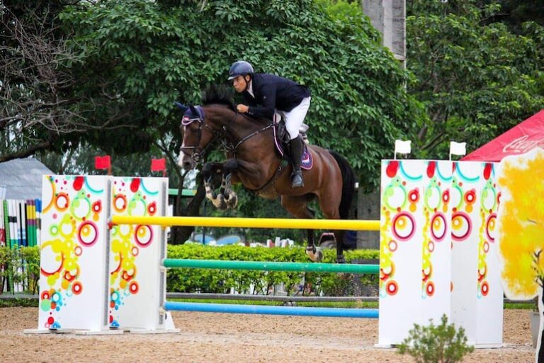 Hipismo: Desafío FEI y séptima jornada – Centro Deportivo