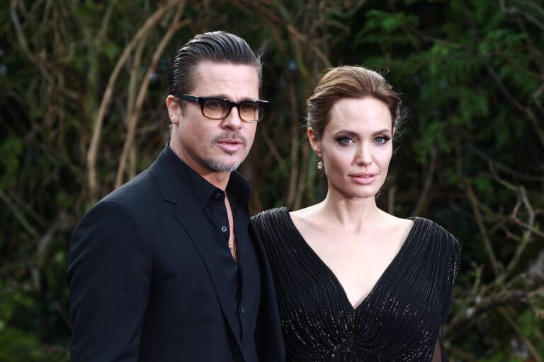 Brad Pitt demandó a Angelina Jolie por 35 millones de dólares por daños y perjuicios por la venta de su parte del Château Miraval
