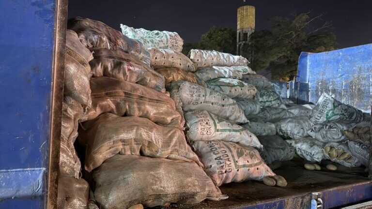 Confiscan 270 bolsas de papas y cebollas contrabandeadas