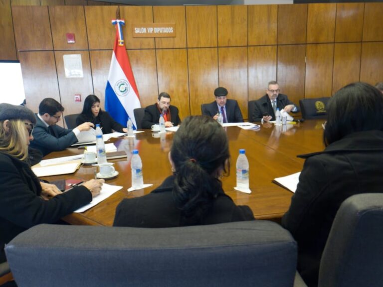 Diputados debaten reforma que podría llevar al país a «lista gris» del Gafi.