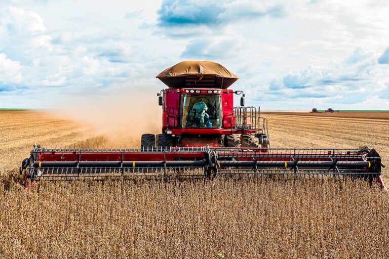 Sector productivo advierte sobre salvaguarda en acuerdo UE-Mercosur.