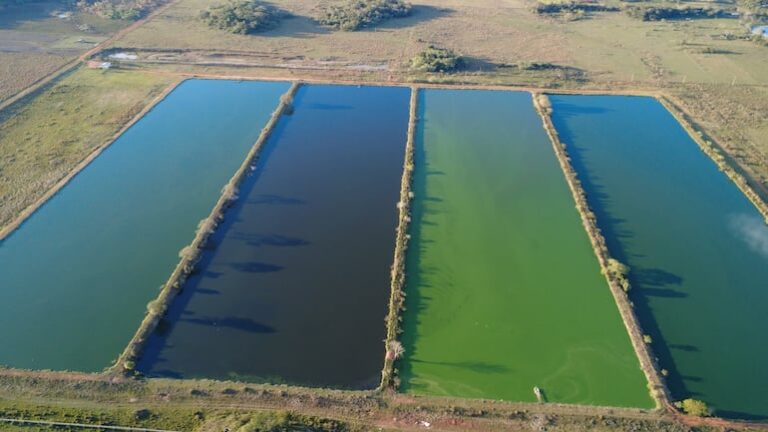 Essap planea instalar filtros en lagunas de Coronel Oviedo.