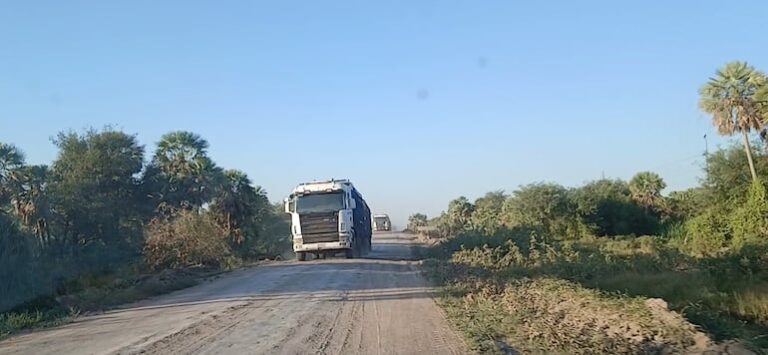 Ganaderos de Alto Paraguay se preparan para nuevo aislamiento.