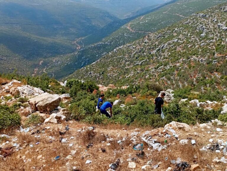 Laureles manchados de sangre en Siria: “No somos culpables de nada, excepto de querer alimentar a nuestras familias”