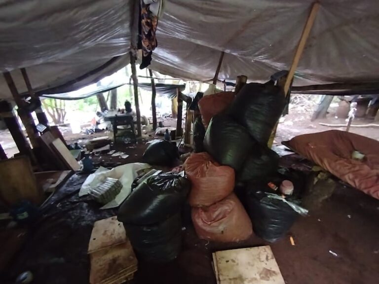 Operación Escudo Guaraní: incautan marihuana en Pedro Juan.