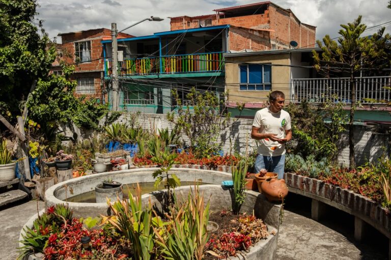 Un jardín con 600 especies de plantas para redefinir la estigmatizada periferia de Bogotá | América del futuro