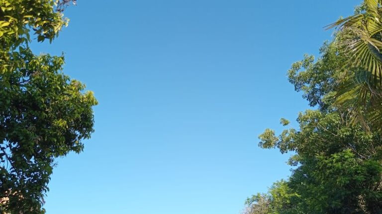 ¿El calor persistirá durante el fin de semana? Meteorología responde.