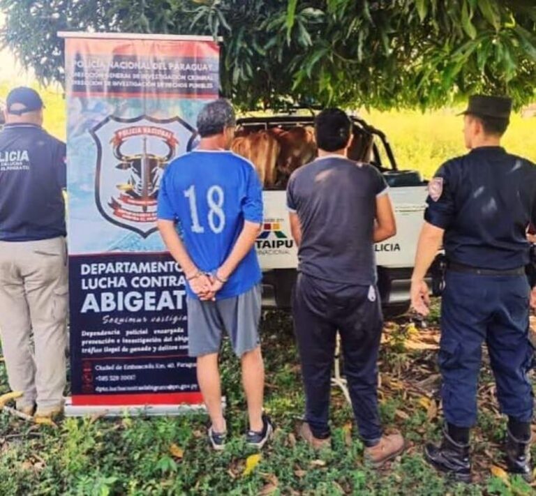 Abigeato en Carapeguá: dos arrestados y cuatro vacunos recuperados.
