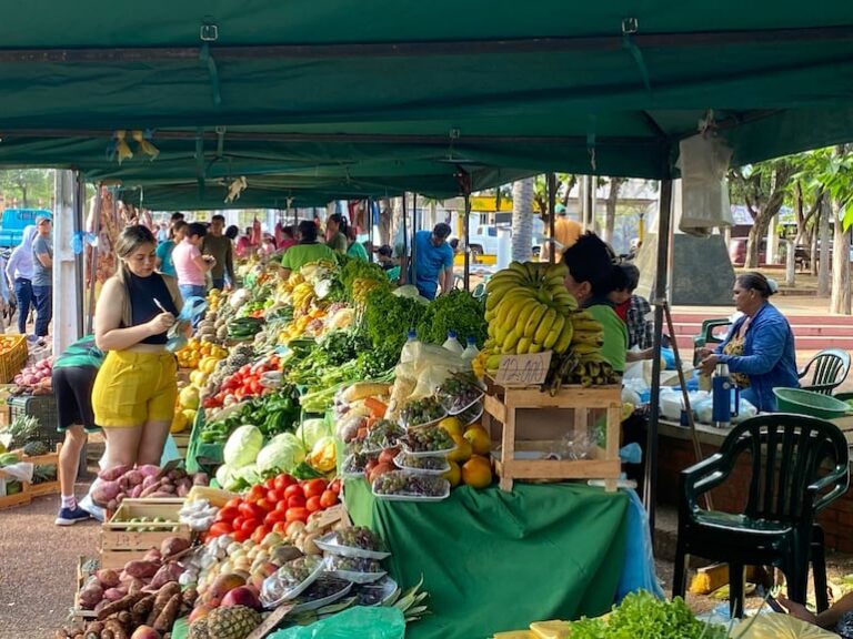 Concepción: Productores locales finalizan el año con éxito.
