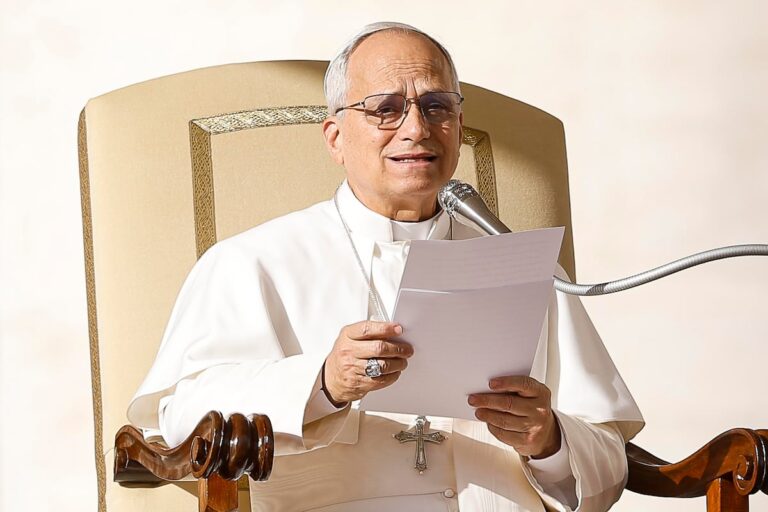 El Papa León XIV critica las políticas de rearme y el uso abusivo de la legítima defensa |