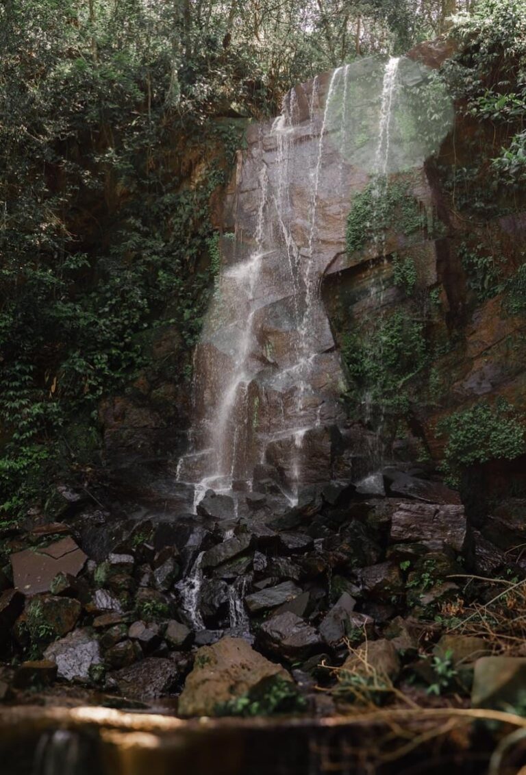 Escapada perfecta en fiestas: dos lugares increíbles en Amambay.