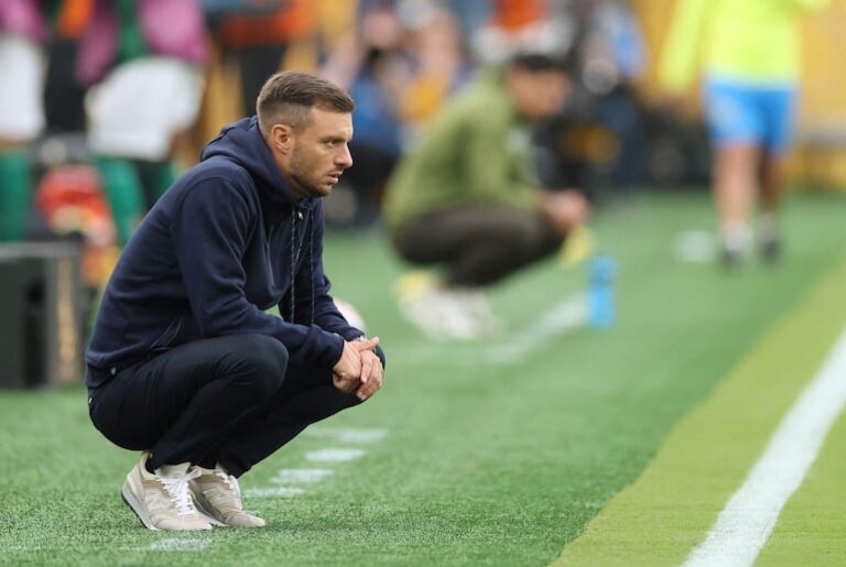 Botafogo ficha al entrenador argentino Anselmi – Fútbol Internacional